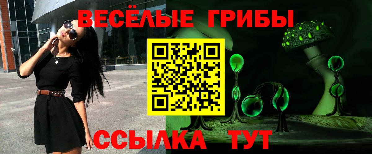Протвино  Галлюциногенные грибы MAGIC MUSHROOMS  Вход с VPN 